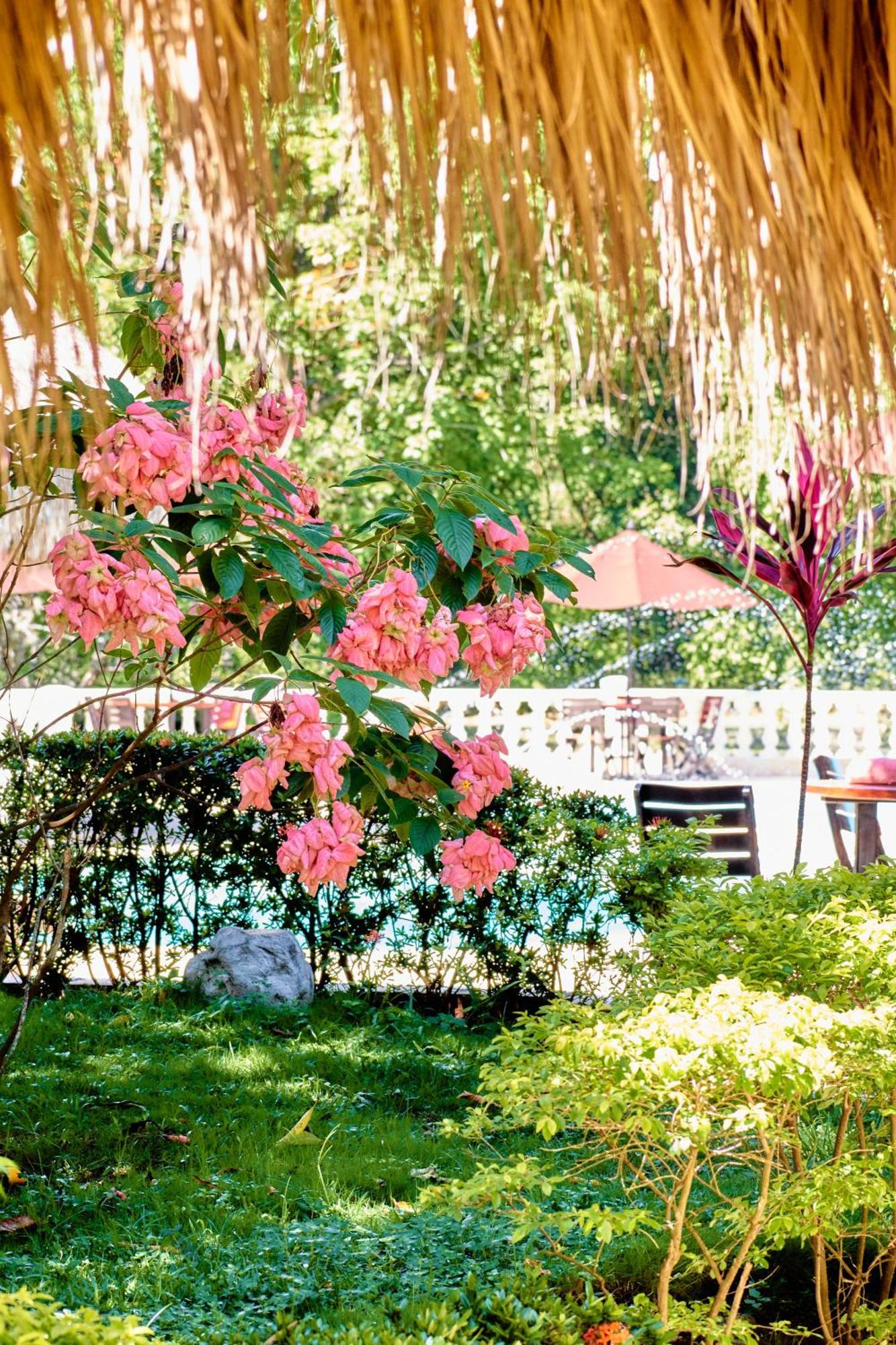 La Iguana De Santa Fe By Bernalo Hotels サンタ・フェ・デ・アンティオキア エクステリア 写真